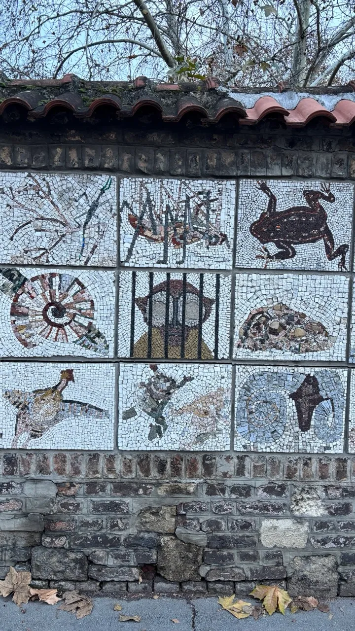 belgrade-zoo-mosaic-wall.jpeg