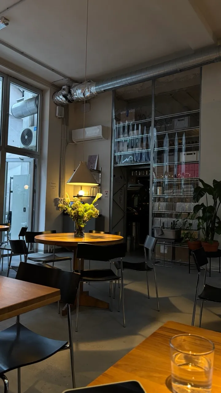 sonder-cafe-vracar.jpeg